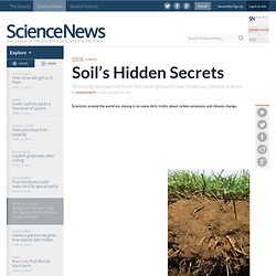 Soil’s Hidden Secrets