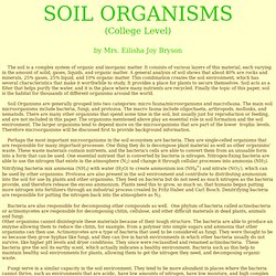 soilcollege