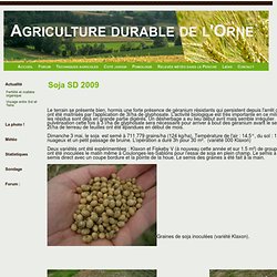 Soja en Semis direct _ 2009 - Agriculture durable de l'Orne