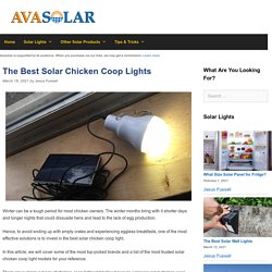 The 12 Best Solar Chicken Coop Light Reviews of 2021 - Avasolar