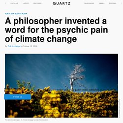 "Solastalgia" or the psychic pain of climate change