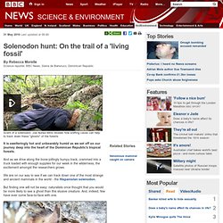 Mamifero venenoso - Solenodon hunt: On the trail of a &#039;living fossil&#039;