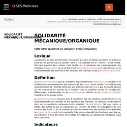 solidarité mécanique; solidarité organique