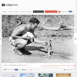 (1942) Solider and a pet kangaroo joey