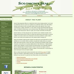 Solomon's Seal: About the Plant