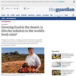 Growing food in the desert: is this the solution to the world's food crisis?