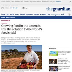 Growing food in the desert: is this the solution to the world's food crisis?
