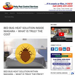 BED BUG HEAT SOLUTION INSIDE NIAGARA - WHAT IS TRULY THE COST
