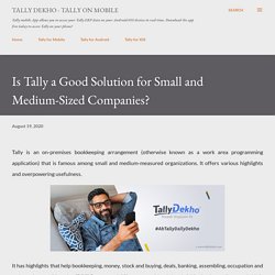 Is Tally a Good Solution for Small and Medium-Sized Companies?