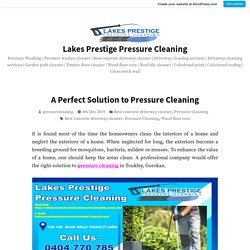 A Perfect Solution to Pressure Cleaning