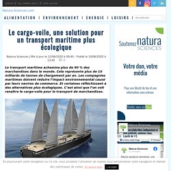 Le cargo-voile, une solution pour un transport maritime plus écologique