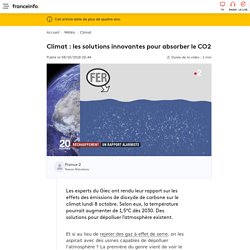 Climat : les solutions innovantes pour absorber le CO2