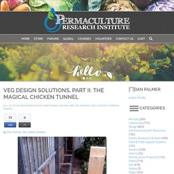 VEG Design Solutions, Part II: The Magical Chicken Tunnel - The Permaculture Research Institute