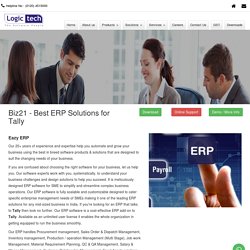 Biz21 - Eazy ERP solutions for Tally with Multiple Users - Logictech