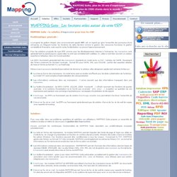 MAPPING Suite - Solutions pour SAP - SAGE - JD EDWARDS - GOLD -