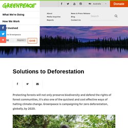 Solutions to Deforestation