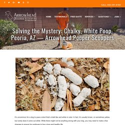 Solving the Mystery: Chalky, White Poop, Peoria, AZ - Arrowhead Pooper Scoopers -