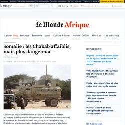 En Somalie, des Chabab affaiblis mais plus dangereux