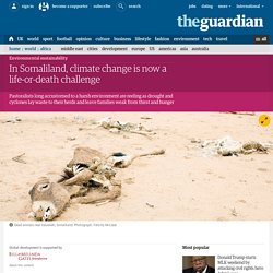 In Somaliland, climate change is now a life-or-death challenge