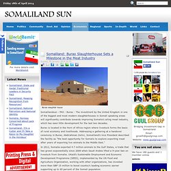 Somaliland: Burao Slaughterhouse Sets a Milestone in the Meat Industry