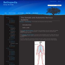 The Somatic and Autonomic Nervous Systems - Bethopedia