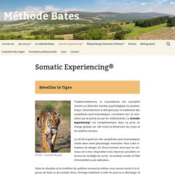 Somatic Experiencing®
