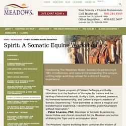 Somatic Equine Therapy Workshop