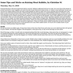 Some Tips & Tricks On Raising Meat Rabbits