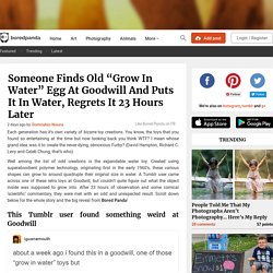Someone Finds Old “Grow In Water” Egg At Goodwill And Puts It In Water, Regrets It 23 Hours Later