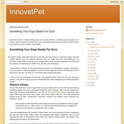 InnovetPet: Something Your Dogs Needs For Sure