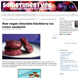 Raw vegan chocolate blackberry ice cream sandwich