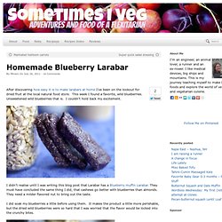 Homemade Blueberry Larabar