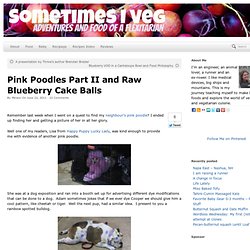 Pink Poodles Part II and Raw Blueberry Cake Balls