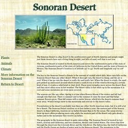 Sonoran Desert
