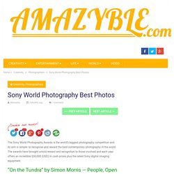 Sony World Photography Best Photos