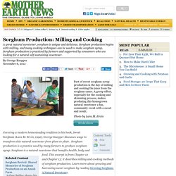 Sorghum Production: Milling and Cooking - Sustainable Farming