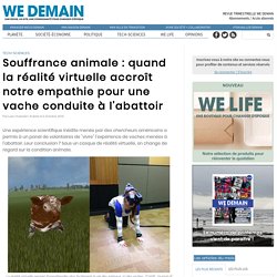 Souffrance animale : quand la réalité virtuelle accroît notre empathie pour une vache conduite à l'abattoir