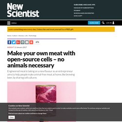 Make your own meat with open-source cells – no animals necessary