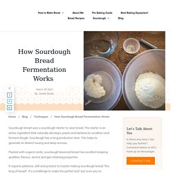 How Sourdough Bread Fermentation Works