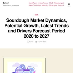 Sourdough Market Dynamics, Potential Growth, Latest Trends and Drivers Forecast Period 2020 to 2027