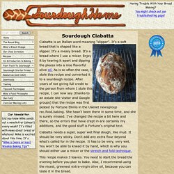Sourdough Home - Sourdough Ciabatta