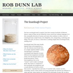 Sourdough – Rob Dunn Lab