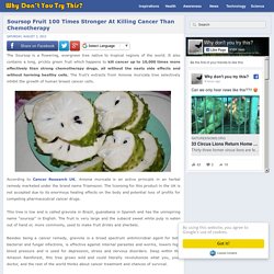 Soursop Fruit 100 Times Stronger At Killing Cancer Than Chemotherapy
