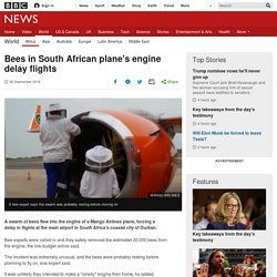 Bees in South African plane's engine delay flights