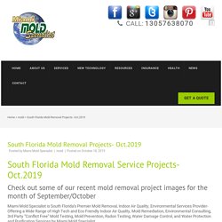 South Florida Mold Removal Projects- Oct.2019