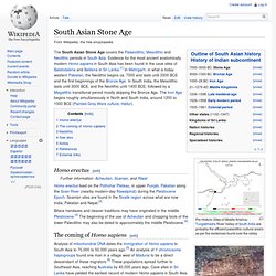 South Asian Stone Age