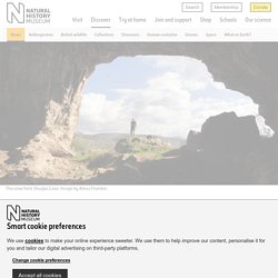 Most southerly evidence of Neanderthals revealed in cave in Palestine