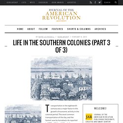 Life in the Southern Colonies (3)