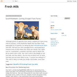 Fresh Milk: SouthVilleMaelk—Coming Straight From Farms