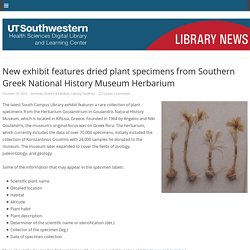 Specimens from Southern Greek National History Museum Herbarium